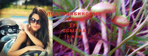 прущие крисы Абинск