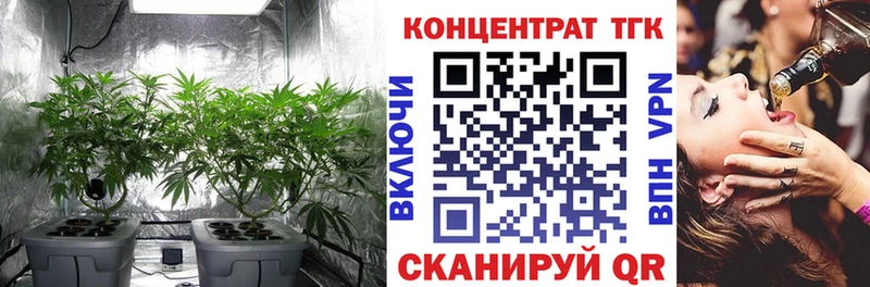 Дистиллят ТГК THC oil  Шали 